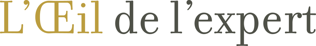 Oeil de l'expert