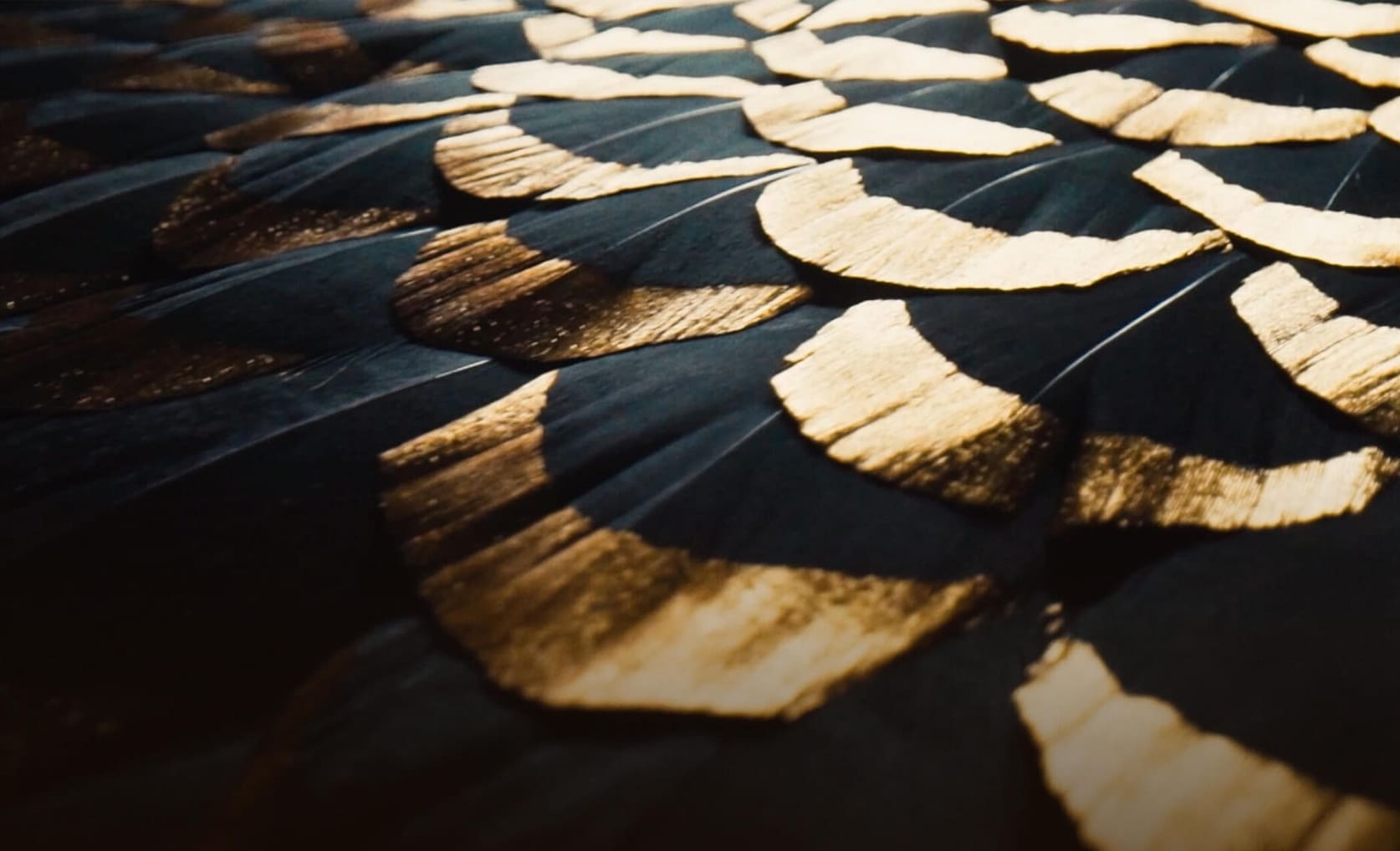 Maison Lemarié, plumassier parisien, spécialiste des plumes et fleurs pour la haute couture